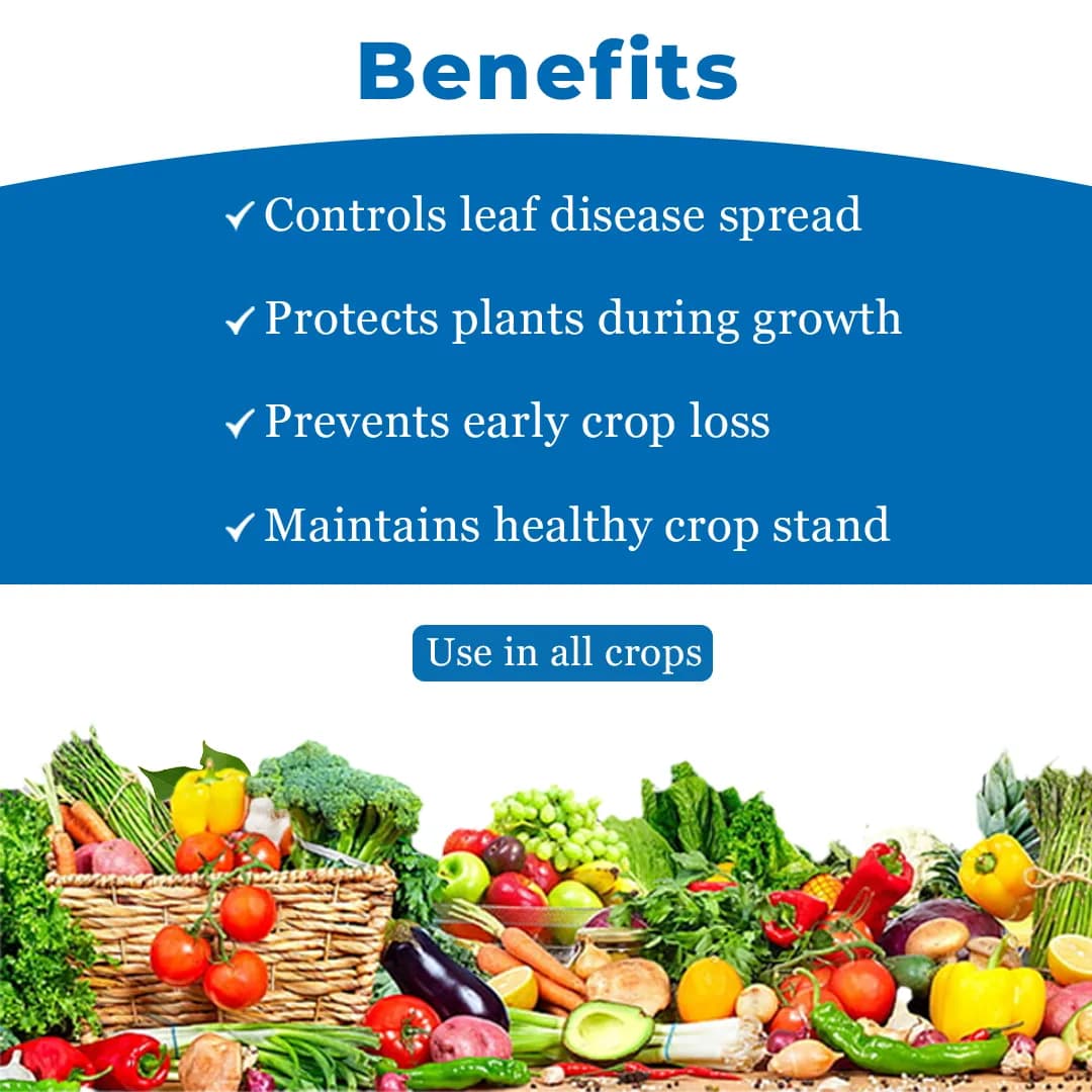 ईबीएस सुसेफ कार्बेन्डाजिम 12% + मैन्कोज़ेब 63% डब्ल्यूपी, ब्रॉड स्पेक्ट्रम सिस्टमिक फफूंदनाशक, कई रोगों के विरुद्ध प्रभावी - Image 4