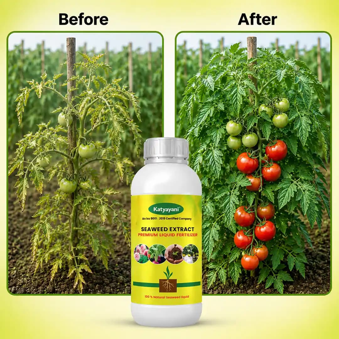 Katyayani Seaweed Extract - Premium Liquid Fertilizer - Image 11