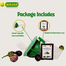 WAVAR Leucinodes Orbonalis Funnel Trap, Efficient For Brinjal Fruit Shoot Borer Pest, Effective Pest Management 3