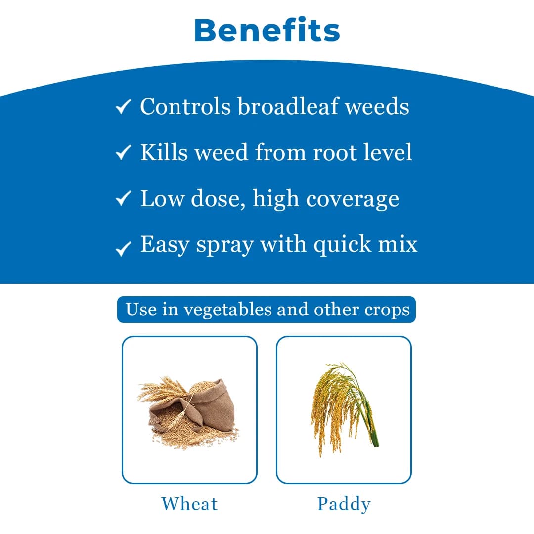 Katyayani MSM Herbicide - Metsulfuron Methyl 20% WP - Image 4