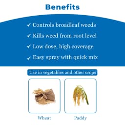 Katyayani MSM Metsulfuron-Methyl 20% WP Systemic Herbicide, Post Emergent Herbicide 4