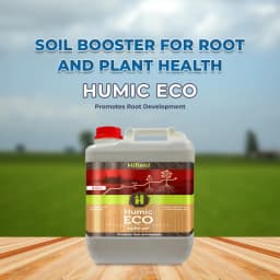 Hifield Organics HUMIC ECO Humic Acid, Fulvic Acid, Root Growth, Plant Growth, Potassium Humate 2