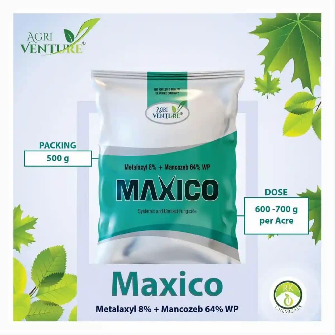 Agriventure MAXICO (Metalaxyl 8% + Mancozeb 64% WP) Broad-Spectrum Fungicide - Image 5