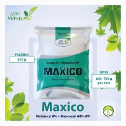 Agriventure MAXICO (Metalaxyl 8% + Mancozeb 64% WP) Broad-Spectrum Fungicide 5