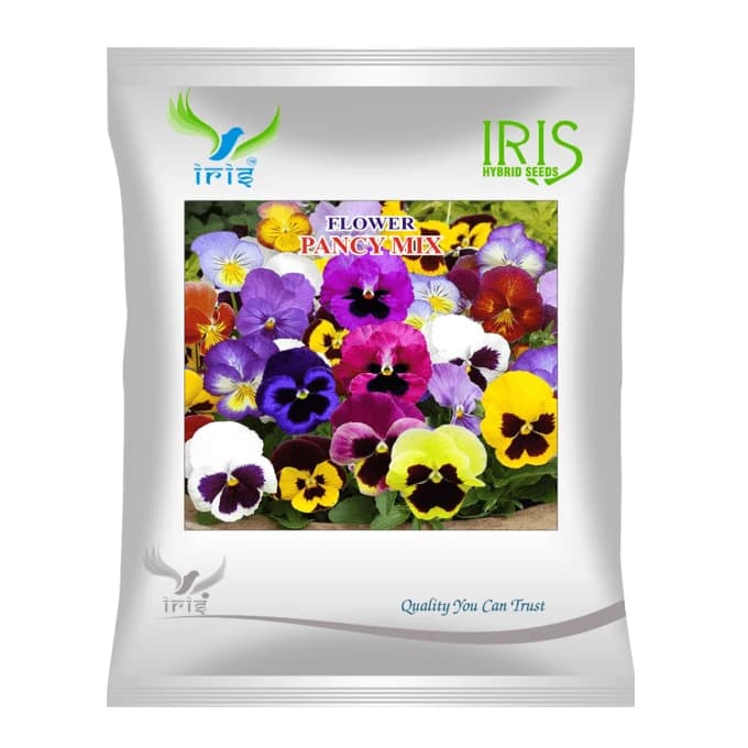 Iris Pancy Mix Hybrid OP Flower Seeds, Imported, Compact Annual, Large Mixed Colour Blooms