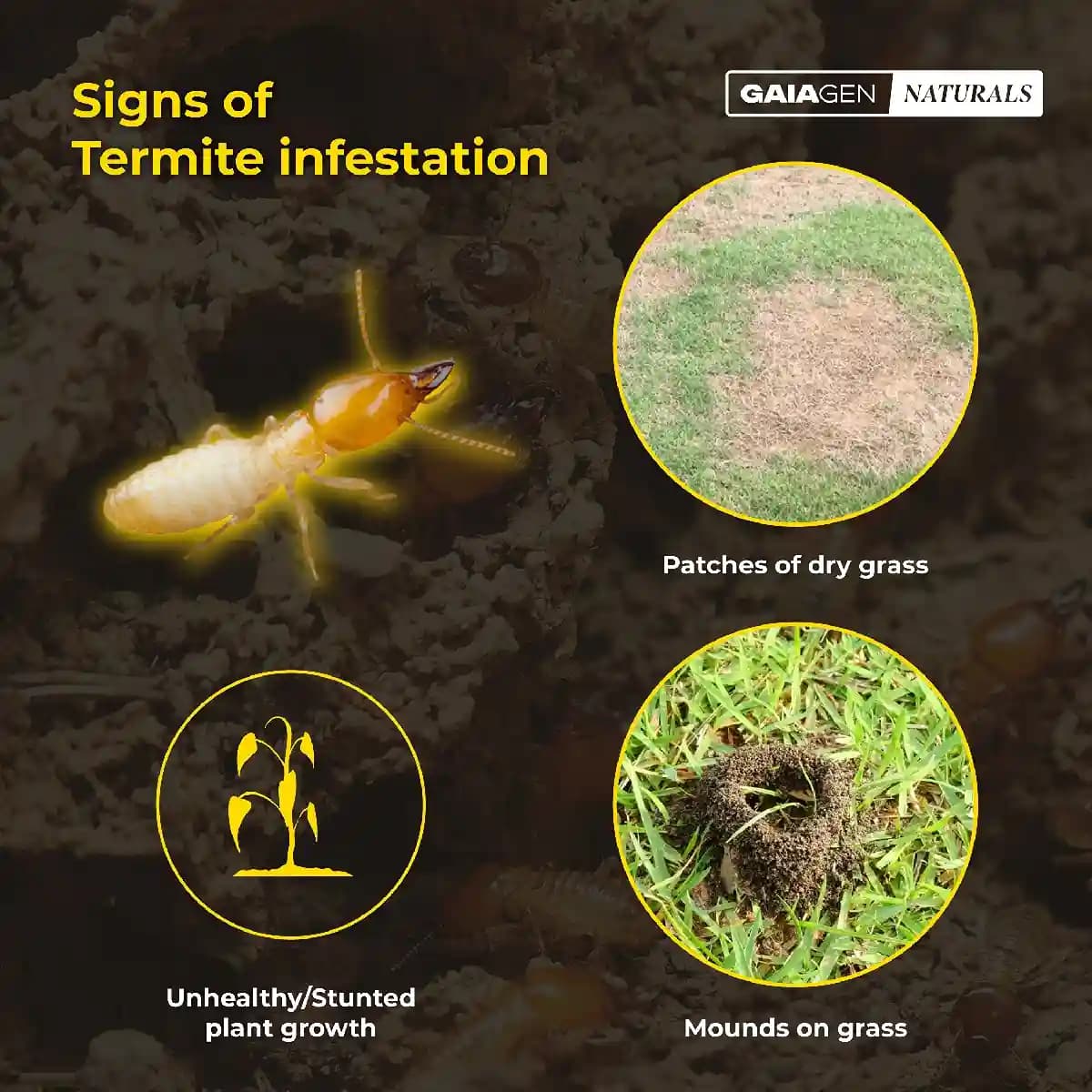 Gaiagen Termite Control, Effective Termite Control for Crops & Gardens, Fast-acting Formulation for Plants - Image 7