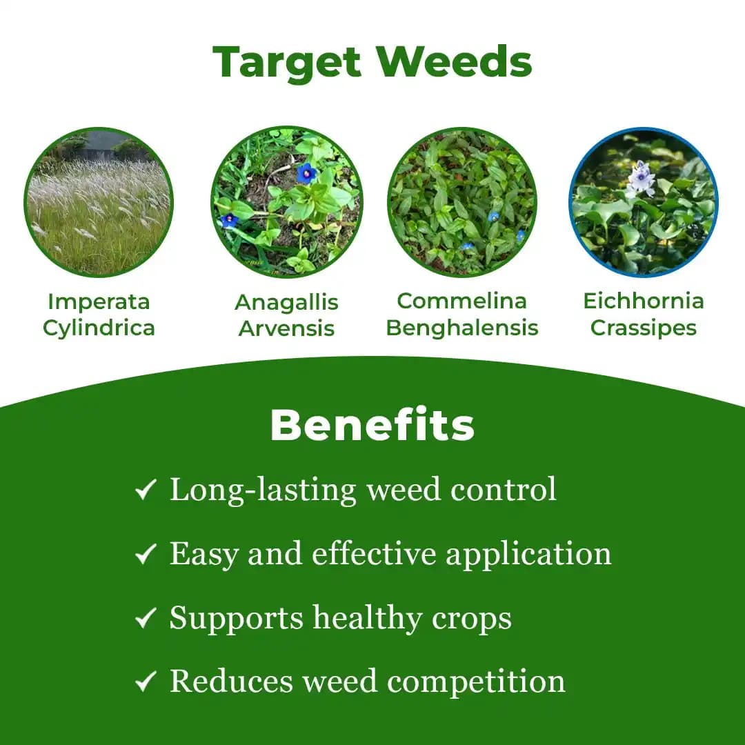 HPM All Clear - Paraquat Dichloride 24% SL Non Selective & Contact Herbicide - Image 3
