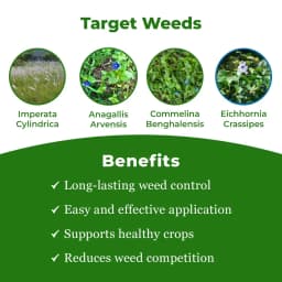 HPM All Clear - Paraquat Dichloride 24% SL Non Selective & Contact Herbicide 3