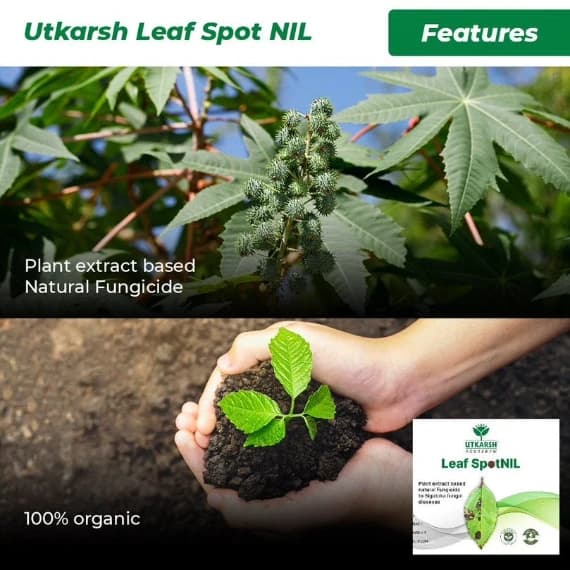 Utkarsh LeafspotNIL Plant Extract Based Natural Fungicide For Leaf Spot, Rust And Blight - Image 5