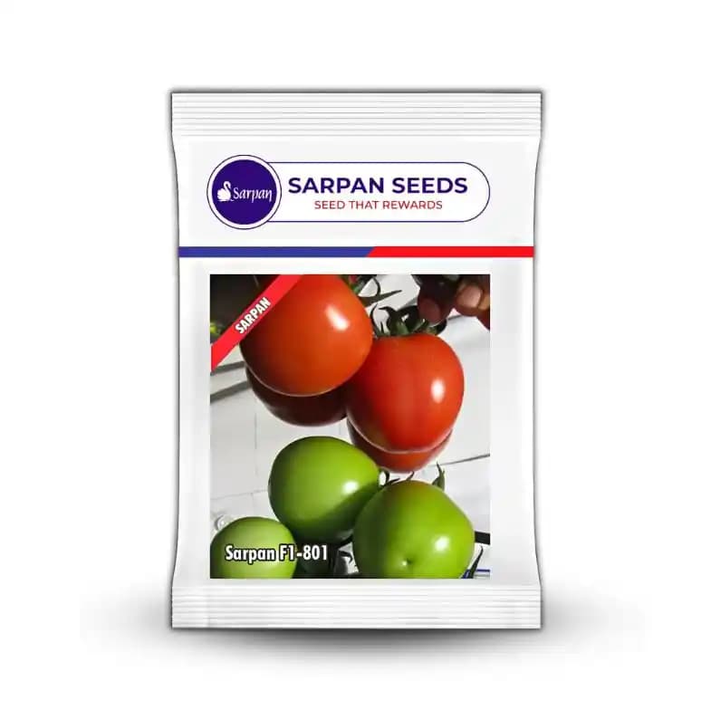 Sarpan F1-801 Tomato Seeds - (Tamatar Seeds) Highly Tolerant For Leaf Curl, Suitable For April To September - Image 2
