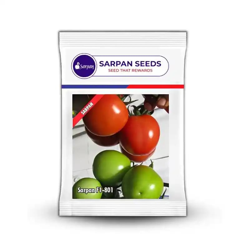 Sarpan F1-801 Tomato Seeds - (Tamatar Seeds) Highly Tolerant For Leaf Curl, Suitable For April To September