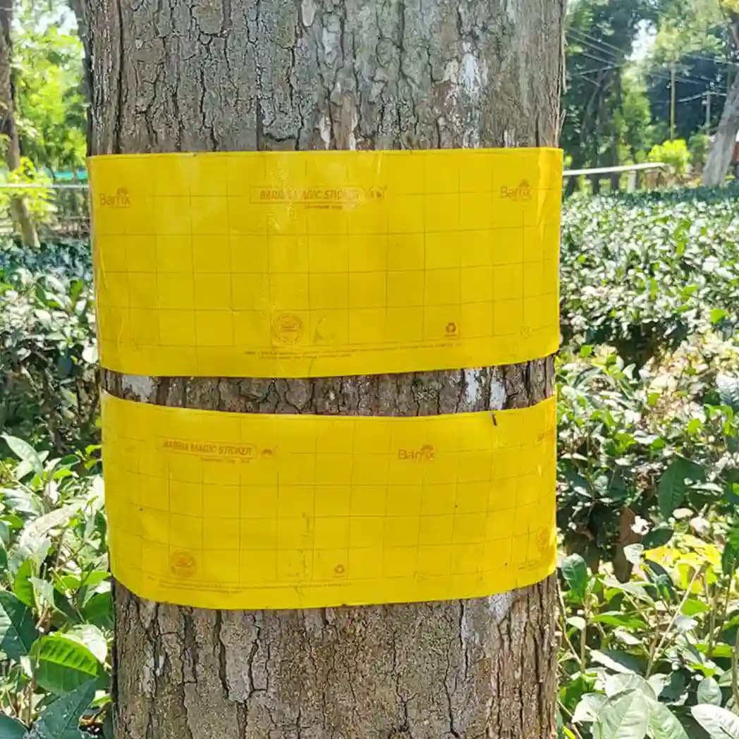 बैरिक्स मैजिक क्रोमैटिक ट्रैप स्टिकर रोल, नॉन-ड्राइंग, नॉन-फेडिंग, नॉन-ड्रिपिंग, ऑर्गेनिक फार्मों, खेतों, बागों, नर्सरियों और बागों के लिए उपयोगी। - Image 4