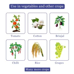 थायोरिन - थियामेथोक्सम 25% WG कीटनाशक, चावल, कपास, टमाटर, बैंगन, आलू के लिए उपयोगी, भूरा फुदका कीट, हरी पत्ती, थ्रिप्स के विरुद्ध सबसे अच्छा उपयोग। 4