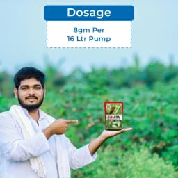 EBS F+Imida Insecticides - Fipronil 40% + Imidacloprid 40% WG 5