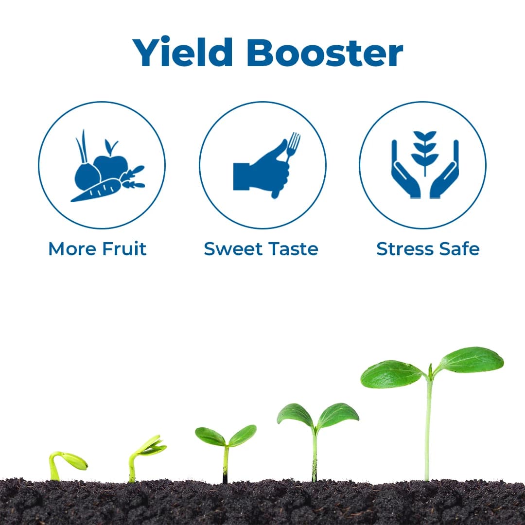 EBS NPK 13:00:45 (Potassium Nitrate) Water Soluble Fertilizer, Increases Yields And Improves Quality Of Crops - Image 3