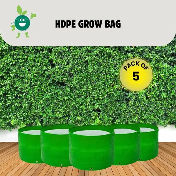 BloomBuddy HDPE Grow Bags 200 GSM, Round Sizes, Various Sizes, UV Treated, Best For Terrace Gardening, Balcony Gardening. - Image 2