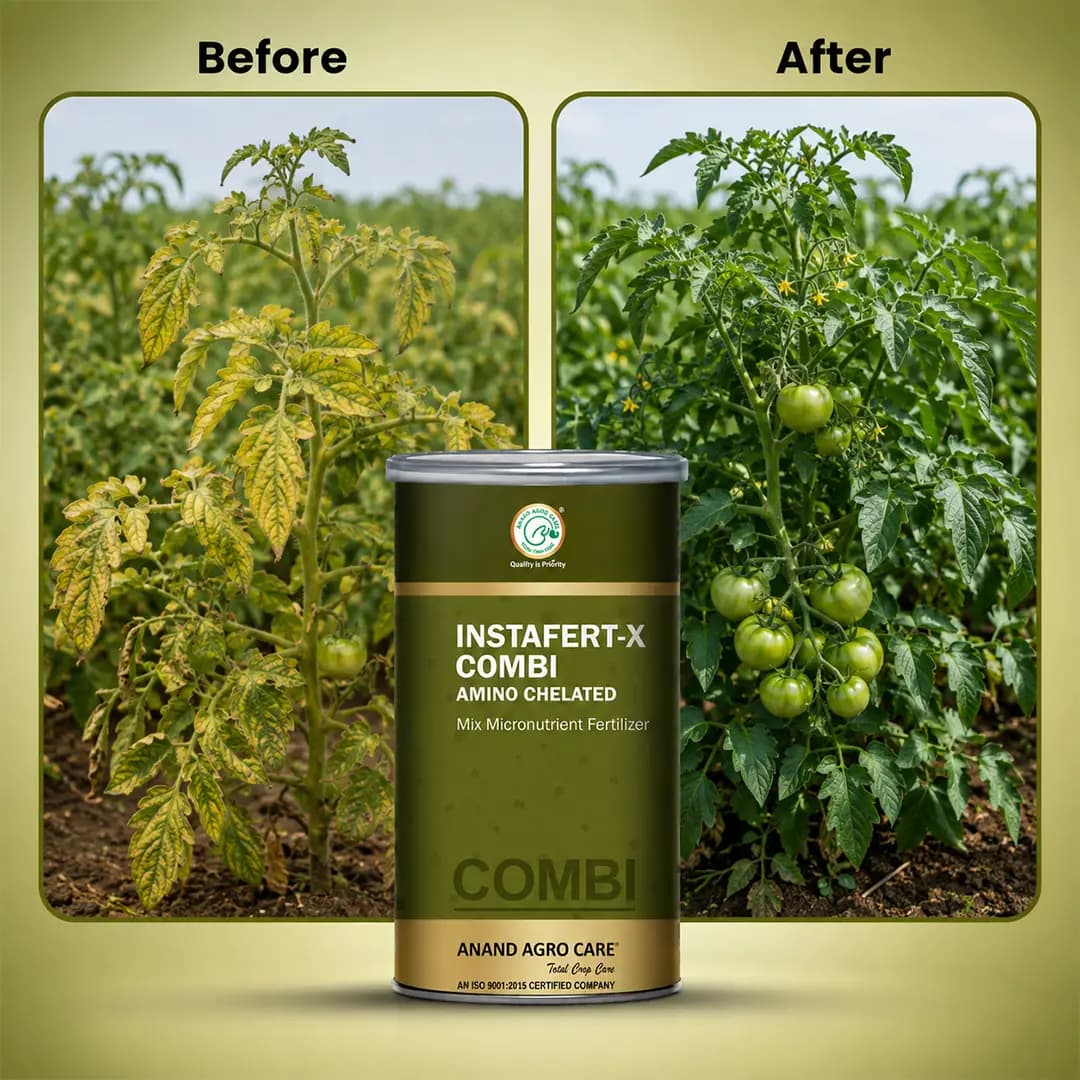 Anand Agro Instafert X Combi Contain Amino Chelated Forms Of Iron, Manganese, Zinc Copper, Boron, Molybdenum - Image 7