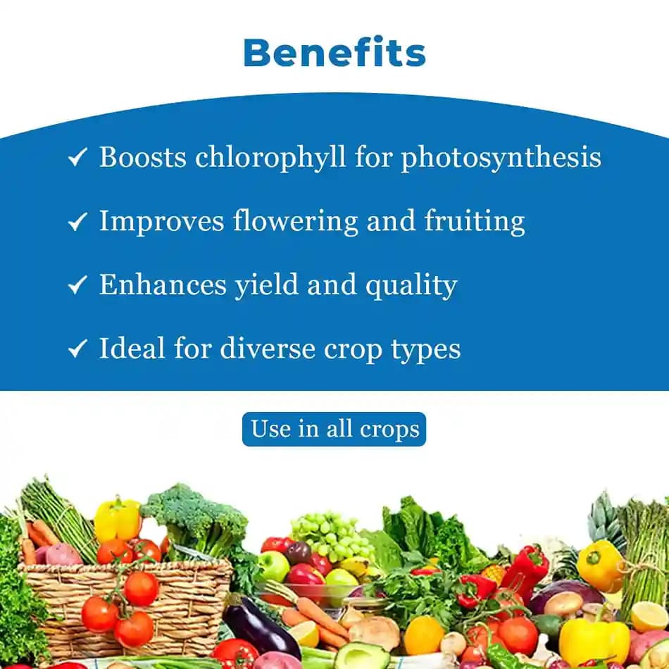 Katyayani Nutritious Triacontanol 0.1% EW Plant Growth Regulator for all Plants and Home Garden, Improves Quality and Yield - Image 4