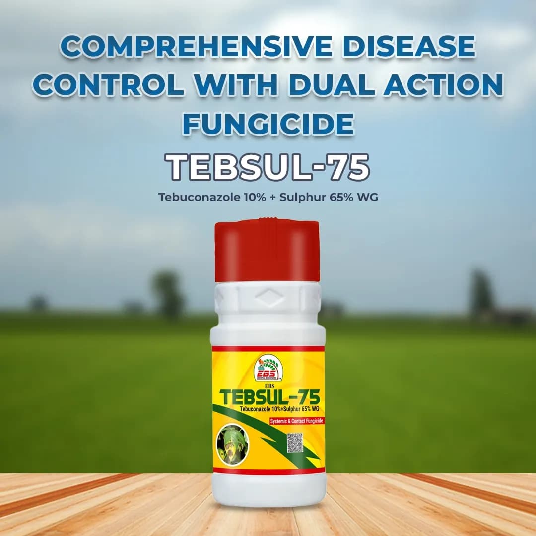 EBS Tebsul-75 Fungicide - Image 2