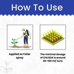 Katyayani Chloda Chlorantraniliprole 9.3% + Lambda Cyhalothrin 4.6% ZC Insecticide, for Effective Pest Control for Crops 5
