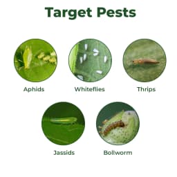 Katyayani Propcyp Profenofos 40% + Cypermethrin 4% EC Insecticide For Plants 3