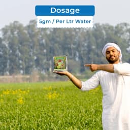 Aries Zn Sulf, Zinc 33% and Sulphur 15% Zinc Sulphate Monohydrate, Improves Flower and Fruit Setting 5