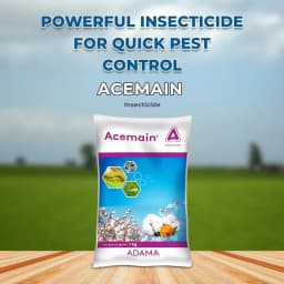 Adama Acemain Acephate 75% SP, For Effective Control Of Wide Range Of Chewing And Sucking Pest 2