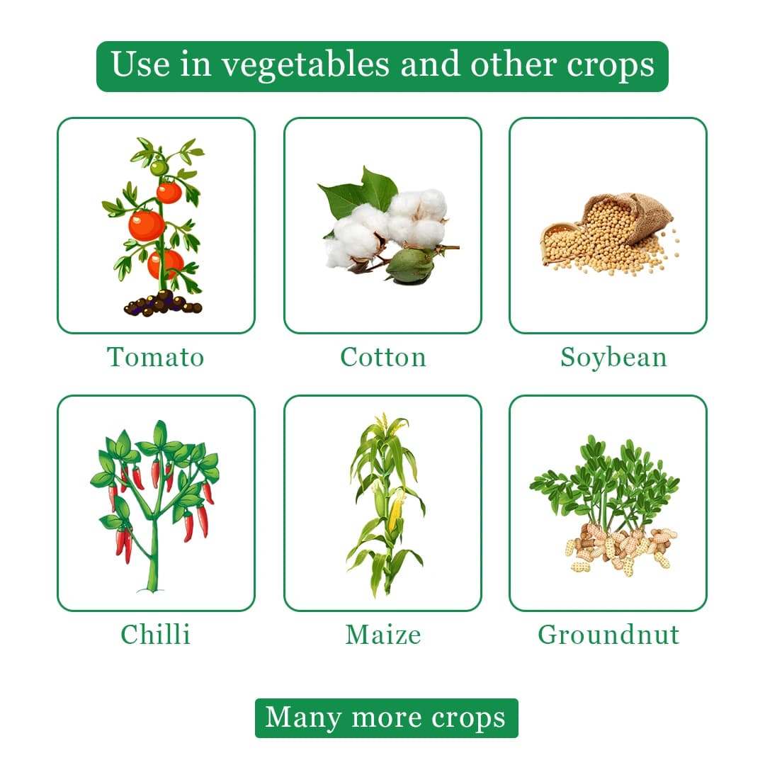 Agriventure Thilamcy Insecticide - Image 4