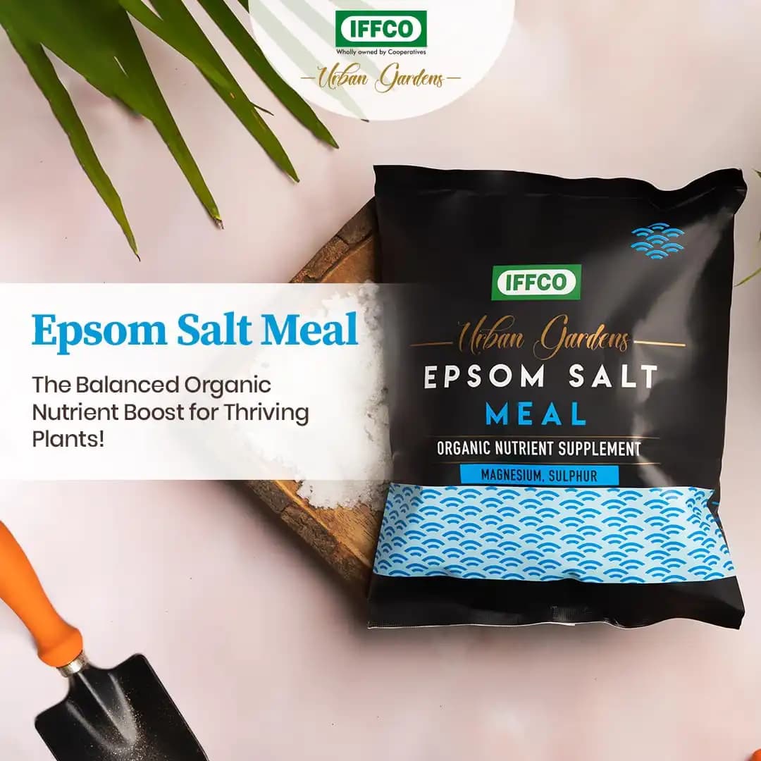 IFFCO Urban Garden Epsom Salt Meal, Organic Magnesium Sulphate Fertilizer For Plants, Home And Garden Nutrient Supplement - Image 2