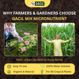 GACIL Micronutrient Mixture Fertilizer for Vegetable, Fruits And All Type of Farming Crops (Gujarat Grade-5 For Soil Application) 5