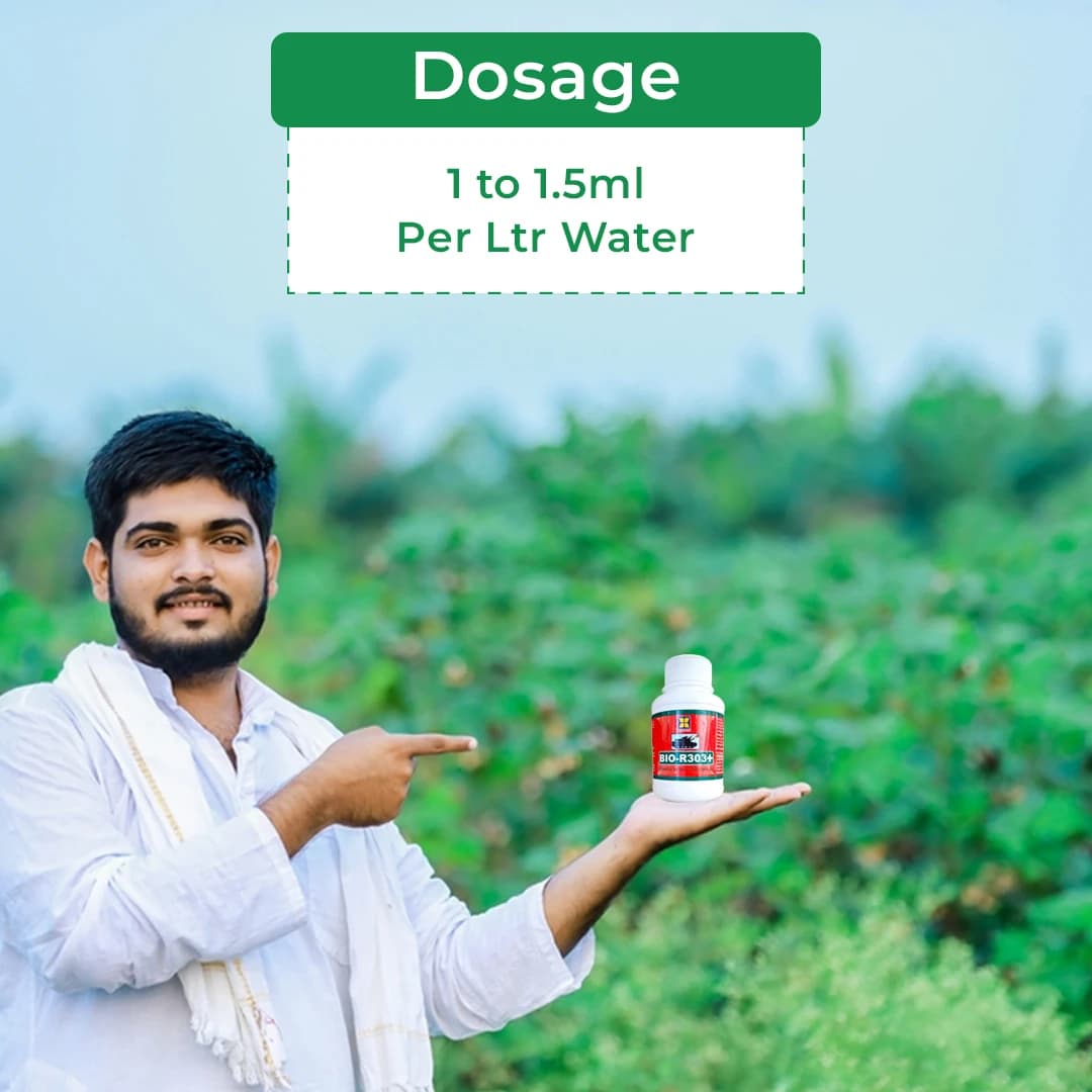 Damman Bio-R303 is a Liquid Fertilizer, Helps in Increasing Flowering, Photosynthesis and Over all Plant Growth, Used in Chilli and Tomato - Image 5