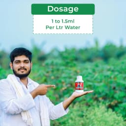 Damman Bio-R303 is a Liquid Fertilizer, Helps in Increasing Flowering, Photosynthesis and Over all Plant Growth, Used in Chilli and Tomato 5