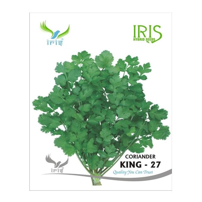Iris King-27 Split OP Coriander Seeds, Imported, Tall Plants And High Yield, Mild Aroma - Image 1