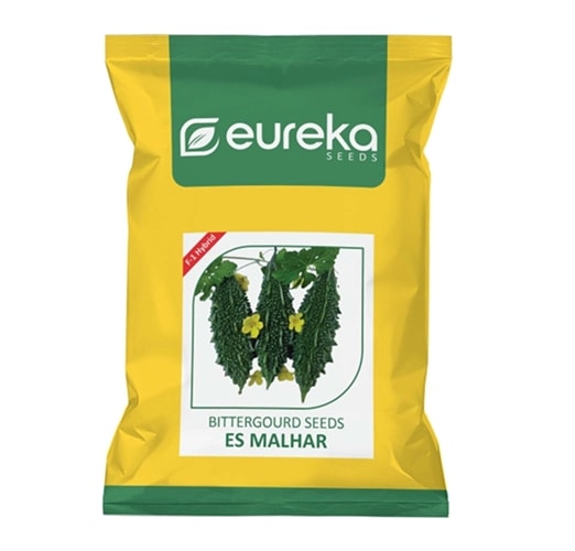 Eureka ES MALHAR F1 Hybrid Bittergourd Seeds, High Yield, Dark Green Fruits