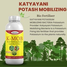 Katyayani K-MOB Potash Mobilizing Bacteria Bio Fertilizer, Boosting Soil Potash Availability For Enhanced Crop Health 3