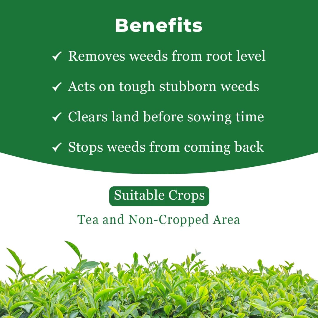 EBS FOUND-UP Glyphosate 41% SL Herbicide, Kills the Weeds by Inhibiting the EPPS Synthesis In Weed - Image 4