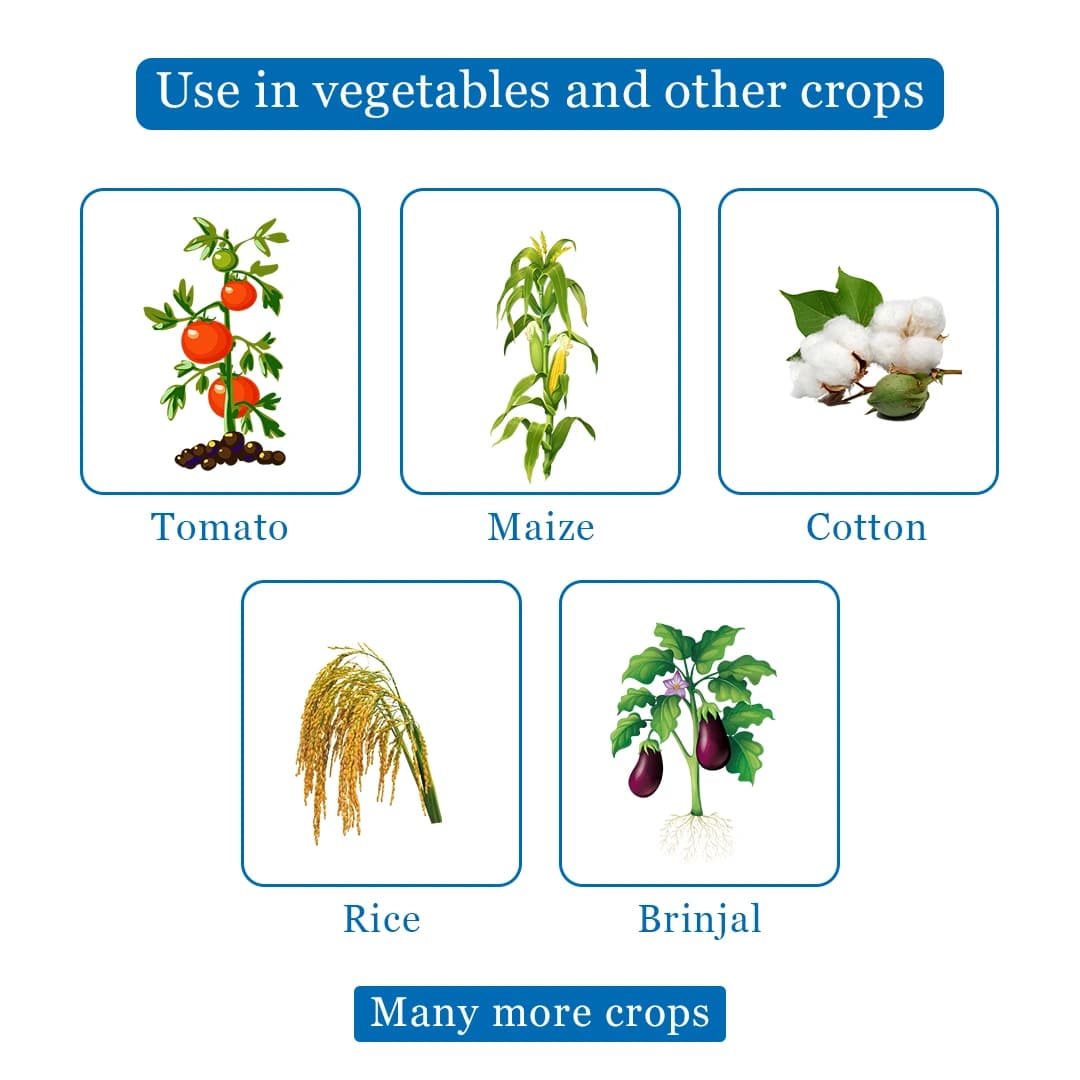 UPL Lancer Gold Insecticide - Image 4