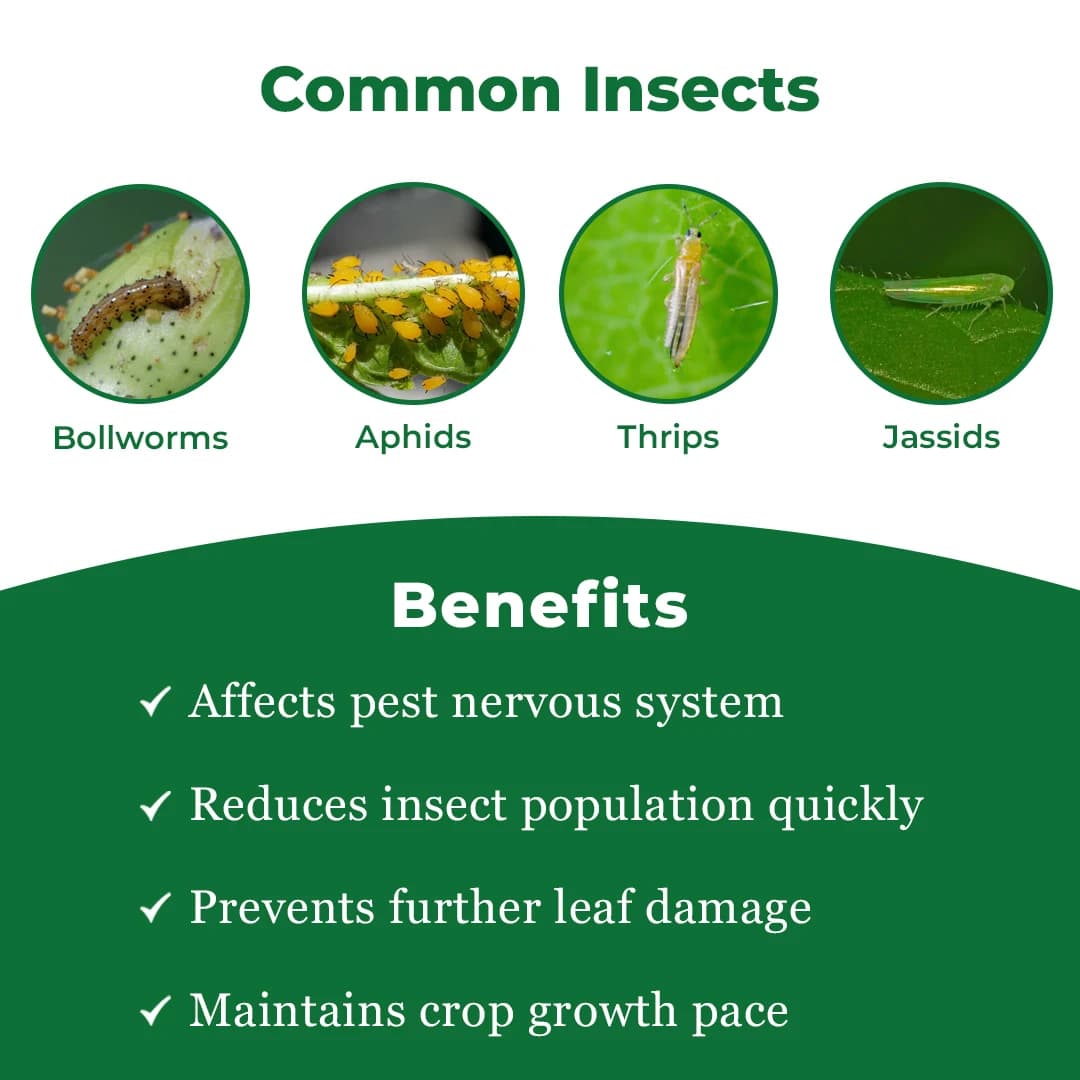 एक्साइलॉन एक्सिप्राइड 20 एसिटामिप्रिड 20% एसपी कीटनाशक, रस चूसक कीट नियंत्रण के लिए प्रभावी - Image 3