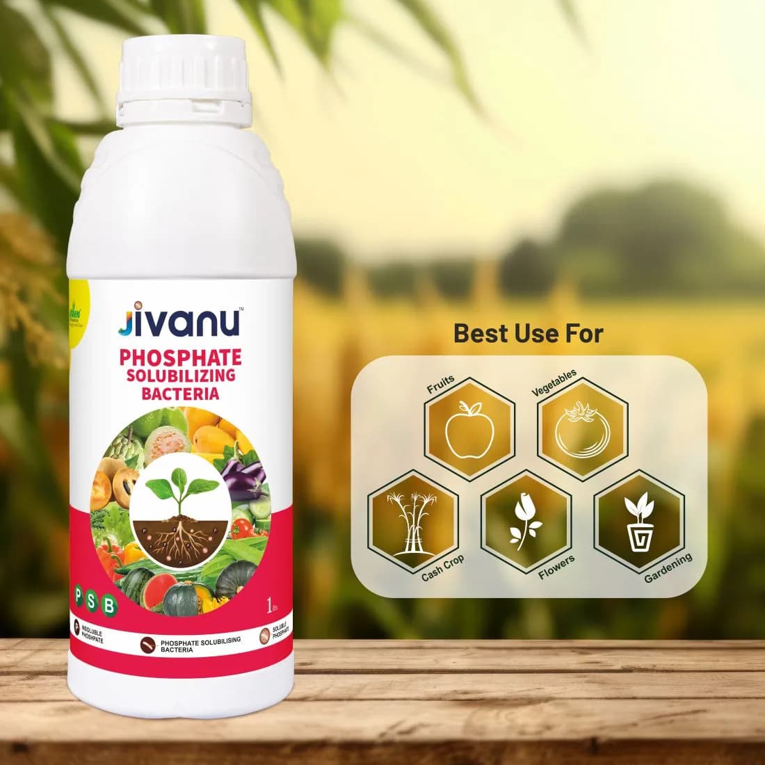 Green Revolution Jivanu PSB Phosphate Solubilizing Bacteria Liquid Bio Fertilizer, Improves Nutrient Uptake - Image 7
