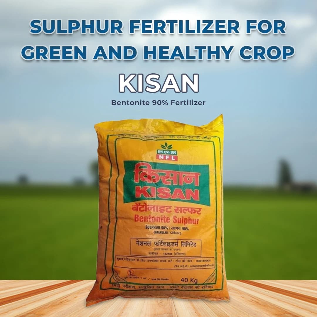 NFL Kisan Sulphur Bentonite 90% Fertilizer, Increases Oil Content In Oil seeds - Image 2