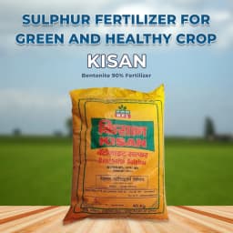 NFL Kisan Sulphur Bentonite 90% Fertilizer, Increases Oil Content In Oil seeds 2