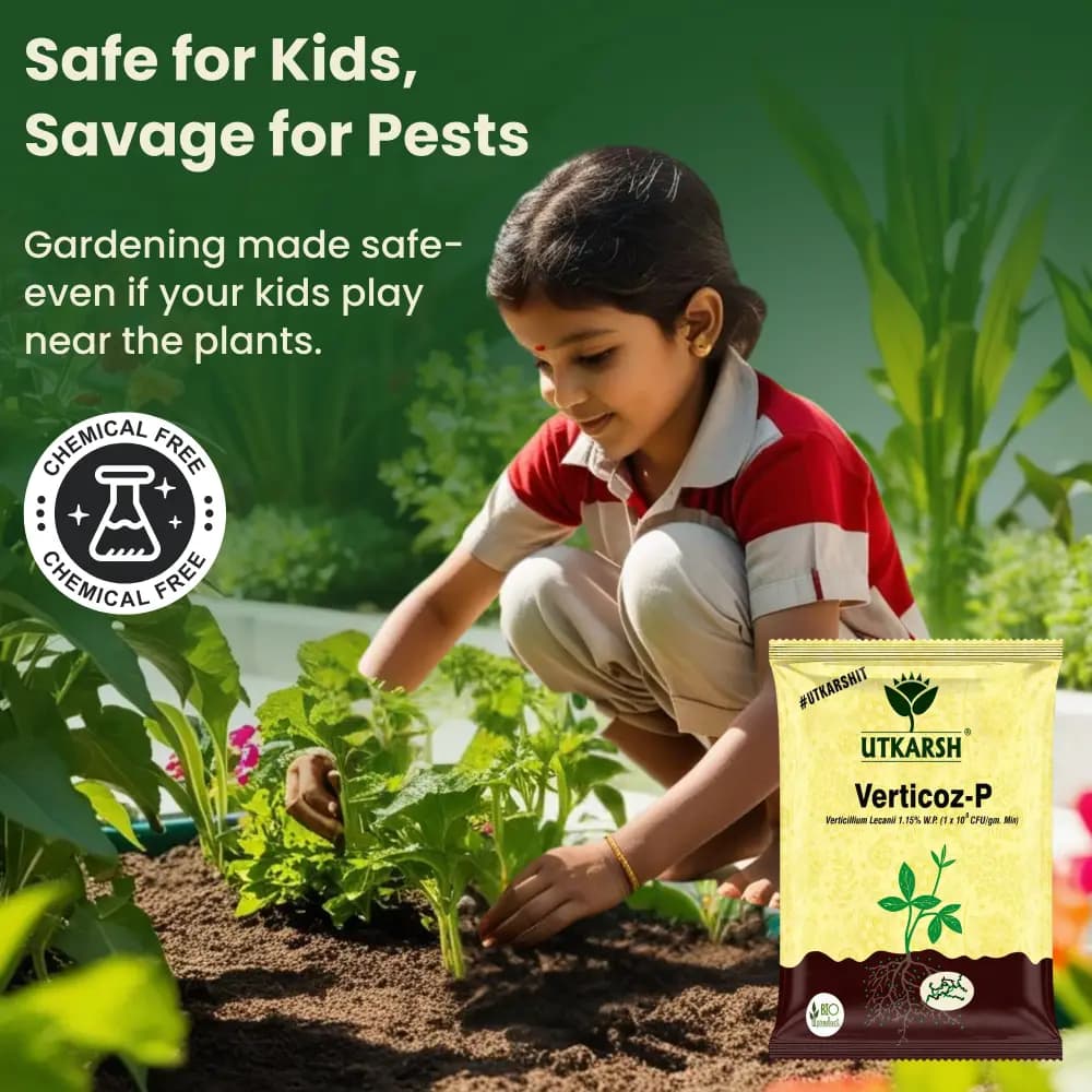 Utkarsh Verticoz- P (Verticillium Lecanii 1.15% W.P. ) Bio Pesticides, Controls Wide Range of Pests - Image 3