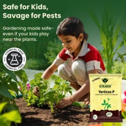 Utkarsh Verticoz- P (Verticillium Lecanii 1.15% W.P. ) Bio Pesticides, Controls Wide Range of Pests 3