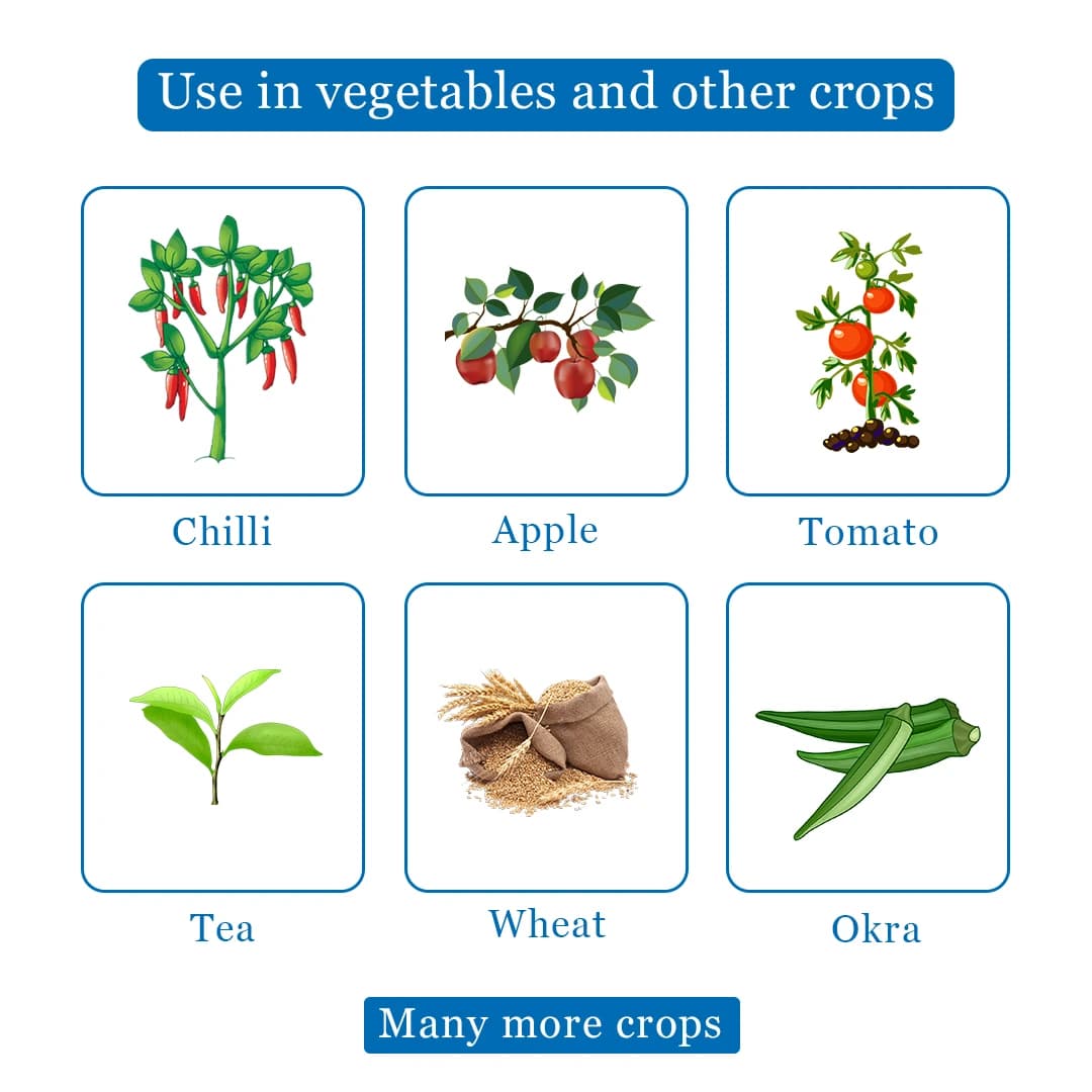 Darrick Tebulur Fungicide - Image 4