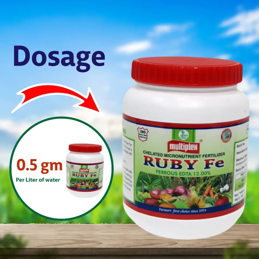 Multiplex Ruby Fe Ferrous EDTA 12% Chelated Micronutrient Fertilizer, High Quality Iron For All Crop - Image 4