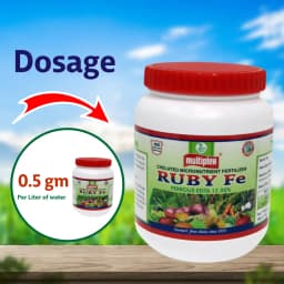 Multiplex Ruby Fe Ferrous EDTA 12% Chelated Micronutrient Fertilizer, High Quality Iron For All Crop 4