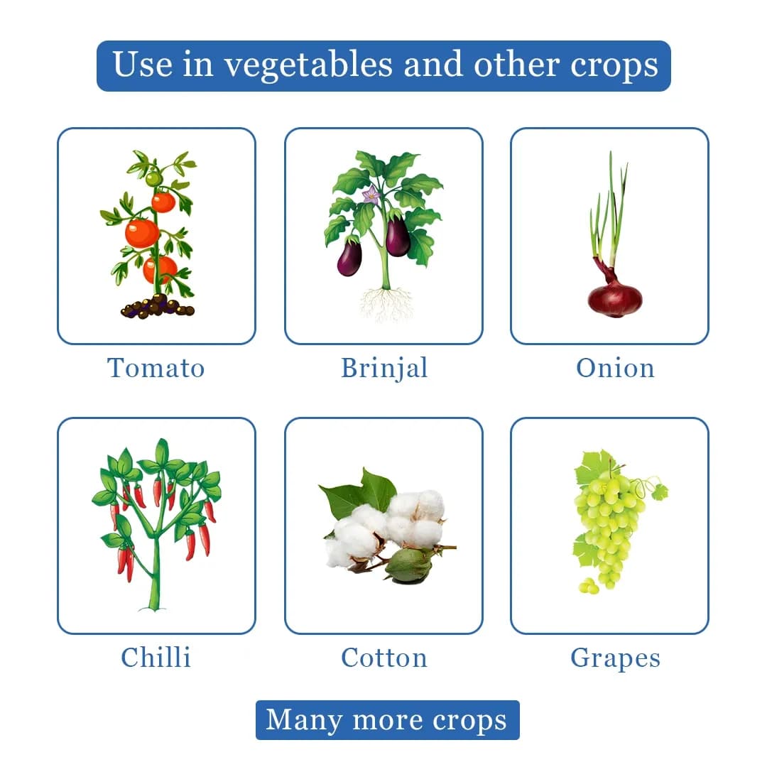 अल्फा - थ्रिप्स और मकड़ी के लिए जैविक और पर्यावरण अनुकूल उपाय विशेष, सभी कृषि फसलों के लिए उपयोगी, उन्नत जैव टैकनोलजी पर आधारित - Image 4