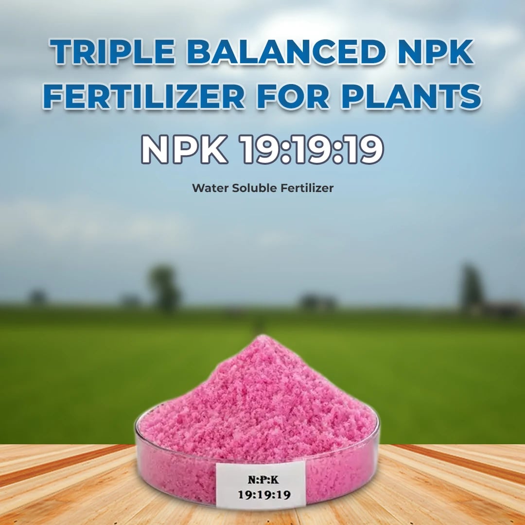 NPK 19:19:19 Fertilizer - Balanced, 100% Water Soluble Fertilizer For Plants (25Kg)