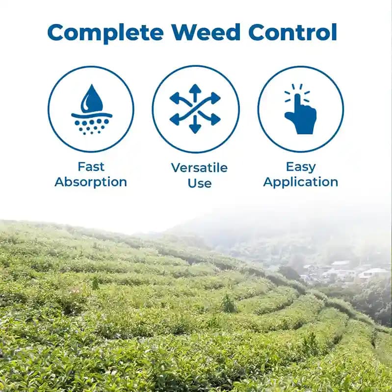 Bayer Monsanto Roundup Glyphosate 41% SL, For Killing all Weeds Non-Selective - Image 3