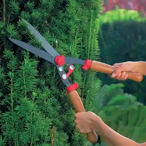 Wolf Garten Hedge Sheares (HS-G), Trimming Borders, Boxwood, And Bushes With Comfort Grip Handles - Image 1